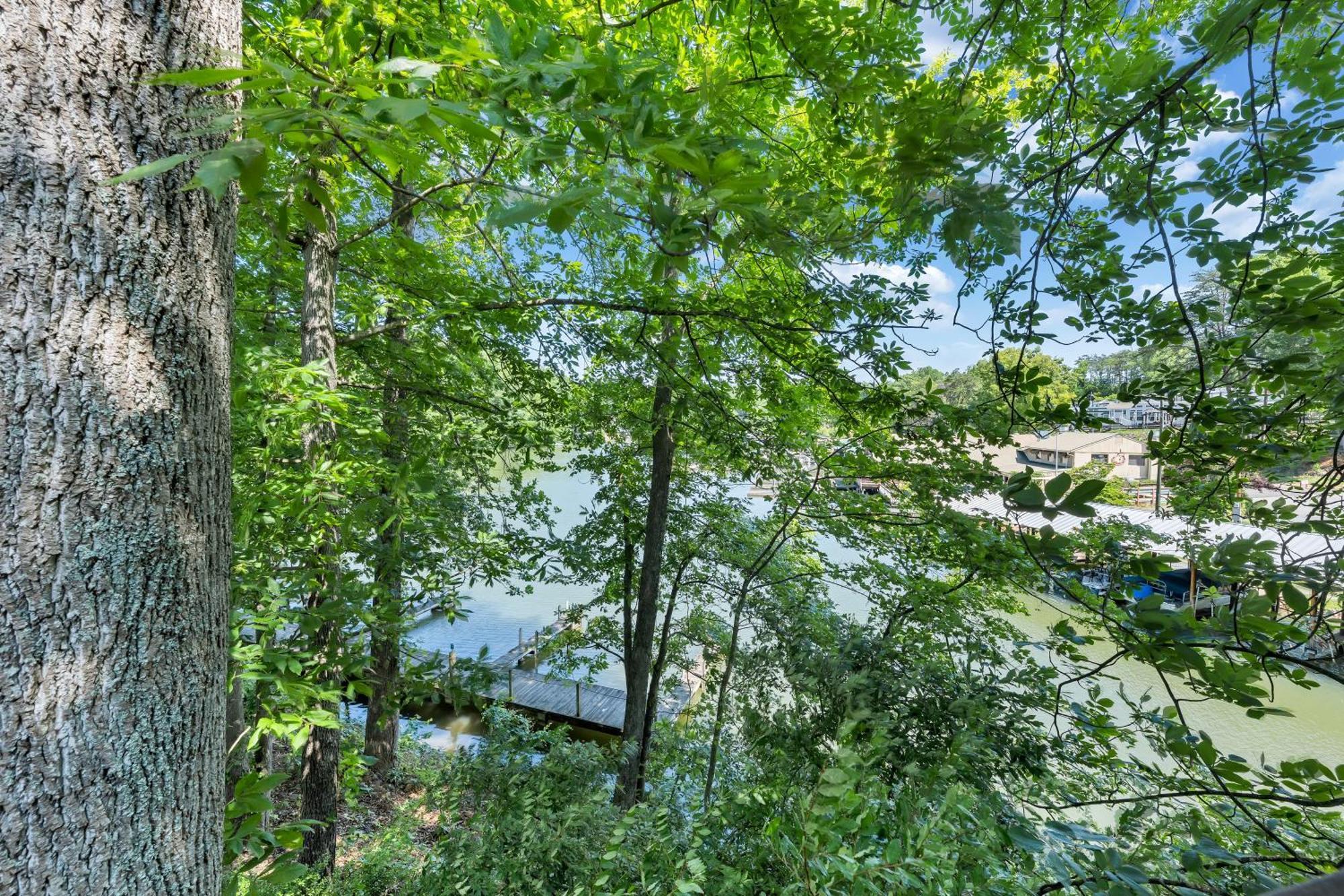 Halesford Harbour Resort - Smith Mountain Lake Moneta Luaran gambar